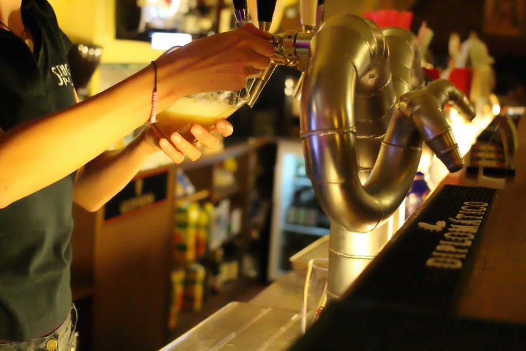 Hostel Singer Pub เชสเกบูดิเยโจวิตเซ ภายนอก รูปภาพ